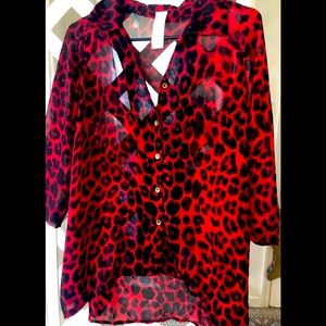 Black & Red sheer, leopard print, high low blouse. Size M.